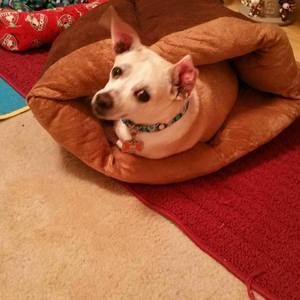 Meet your Posher, Deann